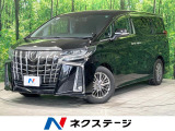 バックカメラ 両側電動スライド 衝突軽減 レーダークルーズ BSM