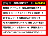 ヴェルファイア 2.5 Z Gエディション 10インチナビ リアモニター 黒革 SR