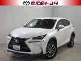 ご覧いただきありがとうございます、NX200t Iパッケージのご紹介です。