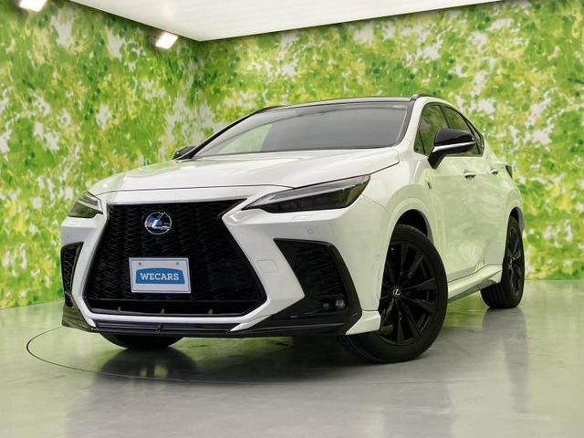 NX 350h Fスポーツ 