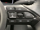 前方の車との車間を設定し、スピードを上げたり緩めたりを自動で行ってくれる追尾式の「レーダークルーズ」。上級装備の一つです!高級車にしかつかない嬉しい機能です。