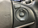 アクセルから足を離しても設定したスピードを保ち走行し、高速道路での疲労軽減に役立つクルーズコントロール付きです!