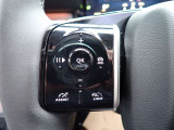 メーカー保証付 13インチ縦型スクリーン AppleCarPlay 360&deg;ビジョン レーダークルーズコントロール BSM フロント・バックソナー ワイヤレスチャージ 電動リアゲート スマートキー LEDヘッドライト