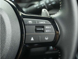 ◆アダプティブクルーズコントロール◆予め設定した車速内でクルマが自動的に加減速。前走車との適切な車間距離を維持しながら追従走行します。【LKAS】車線維持支援システムでステアリング操作を支援。
