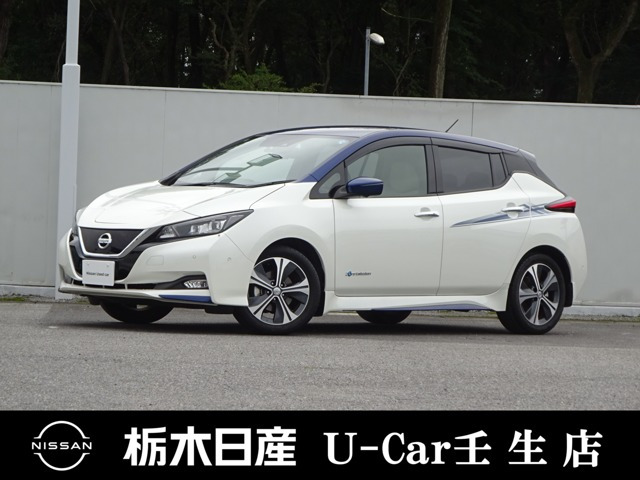 リーフ G