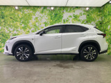 NX 300h Fスポーツ 