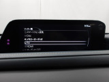 メーカーオプションTVチューナー付!