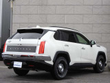 バディ 2.0 20DX 4WD 