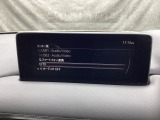 メーカーオプションTVチューナー付!