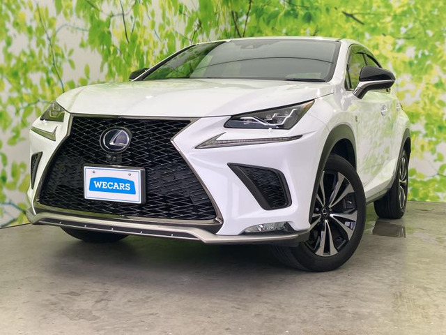 NX 300h Fスポーツ 