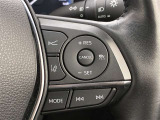 前方の車との車間を設定し、スピードを上げたり緩めたりを自動で行ってくれる追尾式の「レーダークルーズ」。上級装備の一つです!高級車にしかつかない嬉しい機能です。