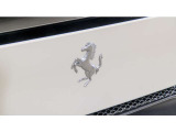 Ferrariロゴと跳ね馬をサテン仕上げとすることで、光沢を抑えた上品で落ち着きのある表情を演出。さりげない質感の違いが、車両に洗練された特別感を加えます。