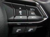 ステアリングスイッチで、先行車に自動追従するアダプティブクルーズコントロールが作動可能。設定した車速内での車間距離を自動で調整・維持。高速道路の渋滞時もアクセル・ブレーキ操作から解放されます。