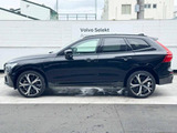 スウェーデンの自然からインスピレーションを受けた、落ち着きのあるデザイン。