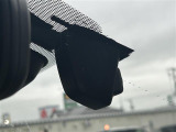 ◆北は北海道から南は沖縄まで、ご購入いただいたお車は全国にご納車が可能です!お電話、メール、動画などでリモートでお車のご案内も可能です!親切、丁寧に対応させて頂きますのでお気軽にご相談ください!