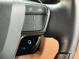 高速走行時に便利なクルーズコントロールの操作部です。