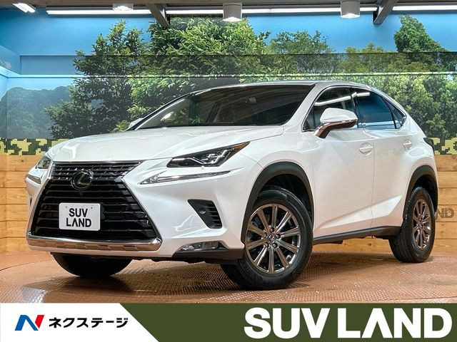 NX 200t Iパッケージ 