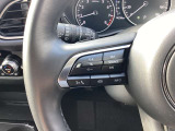【ステアリングスイッチ】