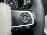 全車速追従機能付ACC(アダプティブクルーズコントロール)付