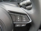右のステアリングスイッチではクルーズコントロールの設定を行います。0km/h〜高速域まで設定可能です。