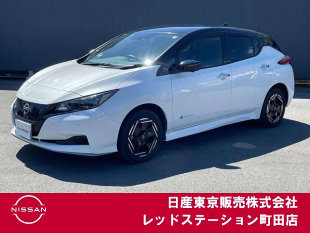 リーフ e+ X