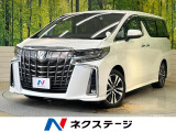 両側電動ドア 純正SDナビ 後席モニター バックカメラ 衝突被害軽減
