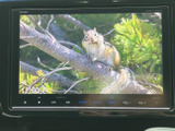 停車中にはTV視聴も可能。休憩時間などにニュースや番組を楽しめます。快適な空間を演出します。(※運転中の視聴は法律で禁止されています)。