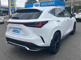 NX 350h Fスポーツ 