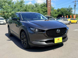 CX-30 2.0 20S レトロスポーツエディション 4WD 純正ナビ 追従クルーズコントロール
