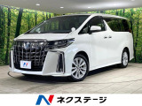 サンルーフ 10型純正ナビ フリップダウン 両側電動スライドドア