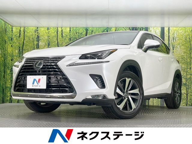 NX 200t Iパッケージ 