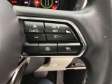 レーダークルーズコントロールを装備。アクセルやブレーキを操作しなくても、自動で先行車との車間距離を保ち追従走行できます。長距離や高速道路を運転する際に、ドライバーへの負担を軽減します。