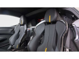 ヘッドレストの跳馬はエンボス加工、ステッチはGiallo。