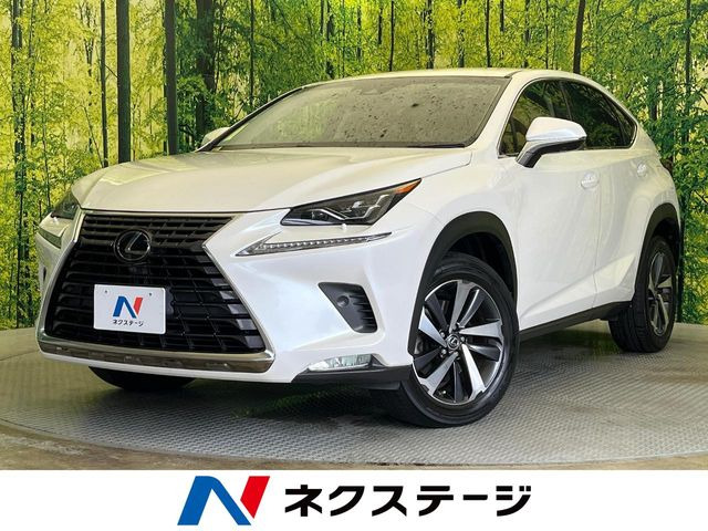 NX 200t Iパッケージ 