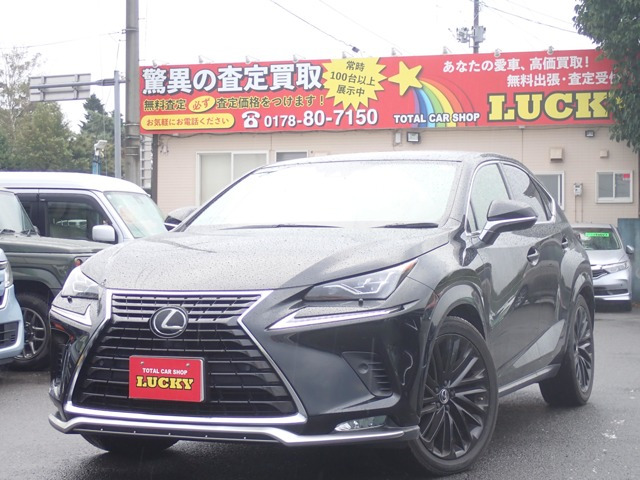 NX 300 スパイス&シック 4WD