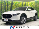 禁煙車 純正ナビ フルセグ Bluetooth 全周囲カメラ 衝突軽減