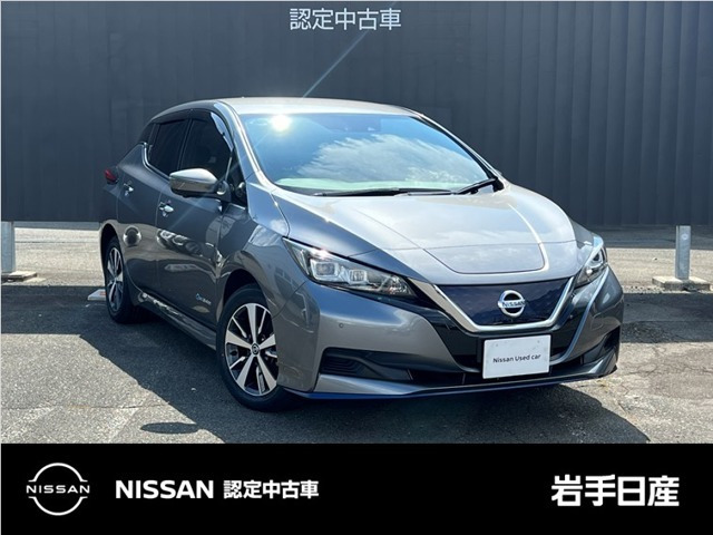 リーフ e+ X