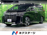 両側電動ドア 後席モニター バックカメラ 100V電源 衝突被害軽減シス