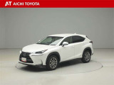 NX 300h Iパッケージ 