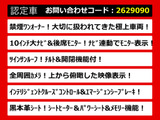 エルグランド 3.5 VIP 10型ナビ サンルーフ 黒本革 ワンオーナー