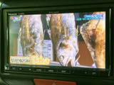 休憩時間にテレビや動画を楽しめるモニター。長距離ドライブも飽きさせません。後部座席の方も楽しめますね。
