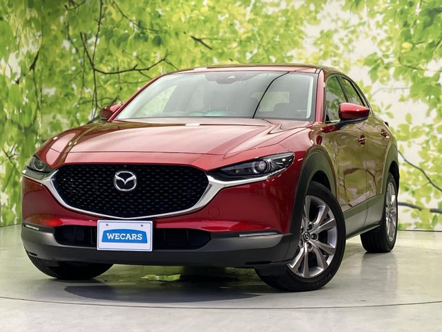 CX-30 2.0 20S プロアクティブ ツーリングセレクション 