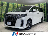 両側電動ドア フリップダウンモニター バックカメラ 100V電源