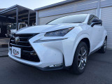 NX 200t アーバンスタイル 