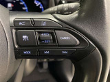 【クルーズコントロール】長距離の運転に☆設定した速度で走行を維持してくれる機能です。