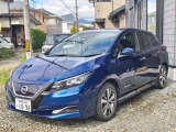 リーフ X 
