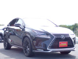 NX 300 スパイス&シック 4WD