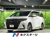 ガラスルーフ フルエアロ 両側電動ドア 後席モニター 全周囲カメラ 衝突
