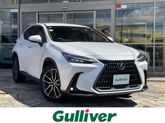 NX 250 バージョンL 本革シート 修復歴無し