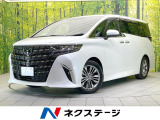 ガラスルーフ 両側電動 純正14型ナビ 後席モニター 全周囲カメラ
